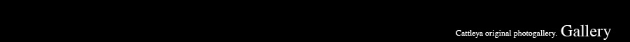 M[